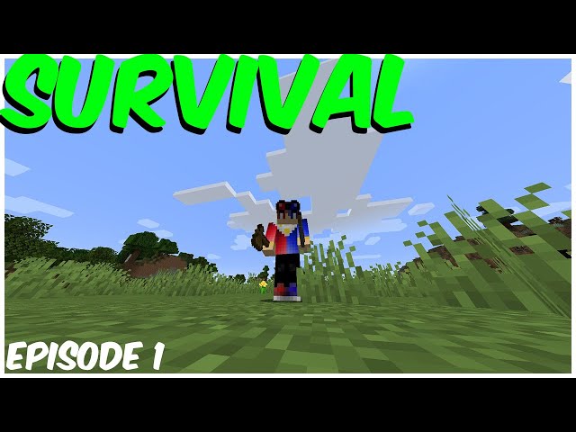 A New Adventure Begins! - Minecraft Survival Episode 1