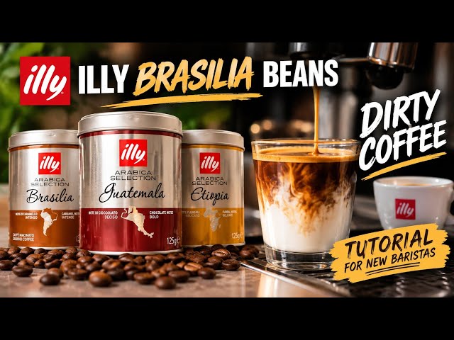 ILLY Brasilia Beans | Dirty Coffee Tutorial for New Baristas