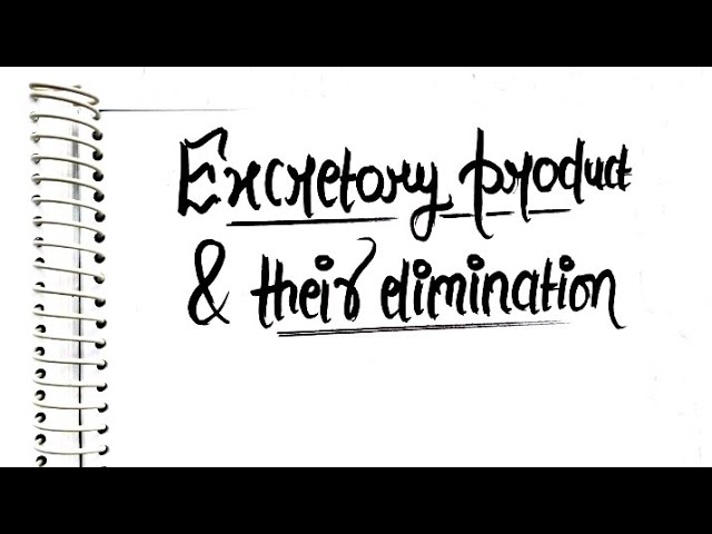  Class 11 Biology - Handwritten Notes of "Excretory Products & their Elimination"🌺☘️@Class11and12th