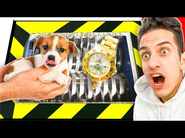 SHREDDING EXPENSIVE and SATISFYING THINGS in SHREDDING MACHINE!