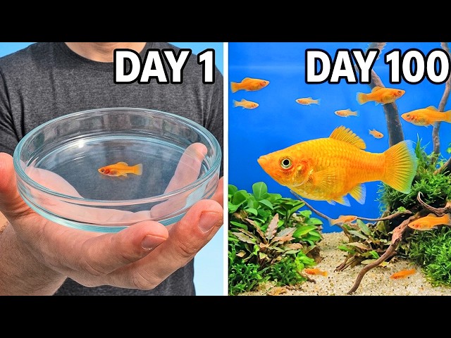 I Raised an Army of Fish