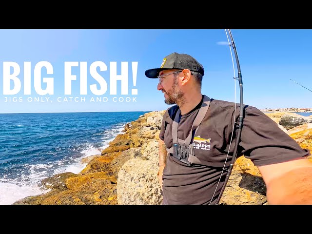 Chasing BIG Yellowtail & Bonito Off the Rocks | Jigs Only and Catch & Cook