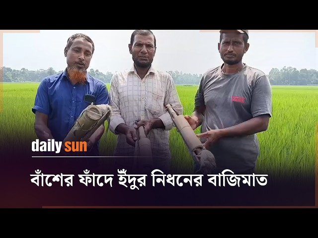 একশ টাকায় মিলছে ফসল রক্ষার শতভাগ কার্যকর ফাঁ'দ | Daily Sun Bangla