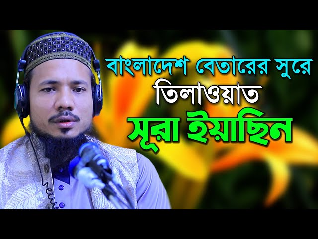 সুরা ইয়াসিন রমজান মাসের রেডিও সুরে হিফজুল কুরআন সাইফুল ইসলাম পারভেজ Saiful Islam Parvez Sura Yeasin