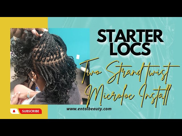 Step by Step Two-strand Twist Microloc Install on Medium Density Hair