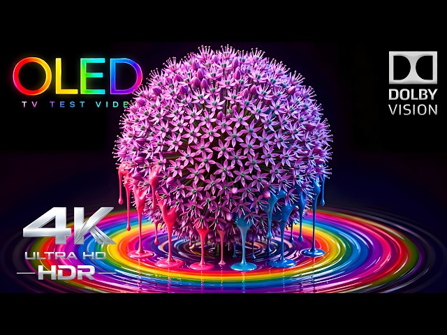The Best 4K HDR 60FPS OLED Test for Your TV | Dolby Vision Demo (4K Video Ultra HD)
