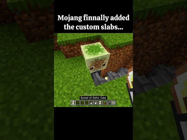 Minecraft custom slabs🤯