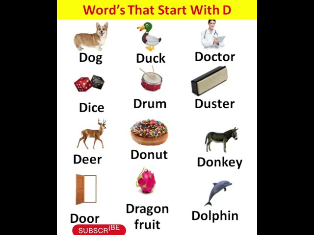 Words that start with D/d for dolphin,d for dog