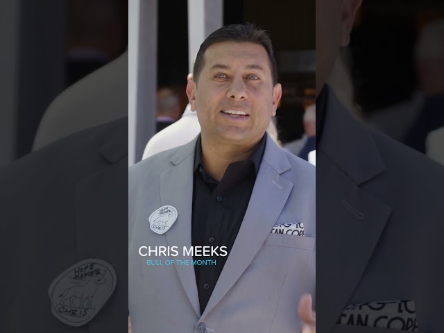 May 2026 - Lendio Denver's Bull Lunch - Bull of the Month #businessbanking