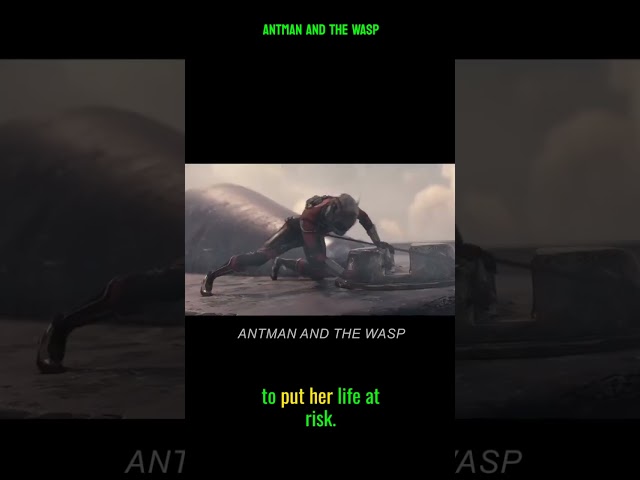 ANTMAN AND THE WASP #shorts