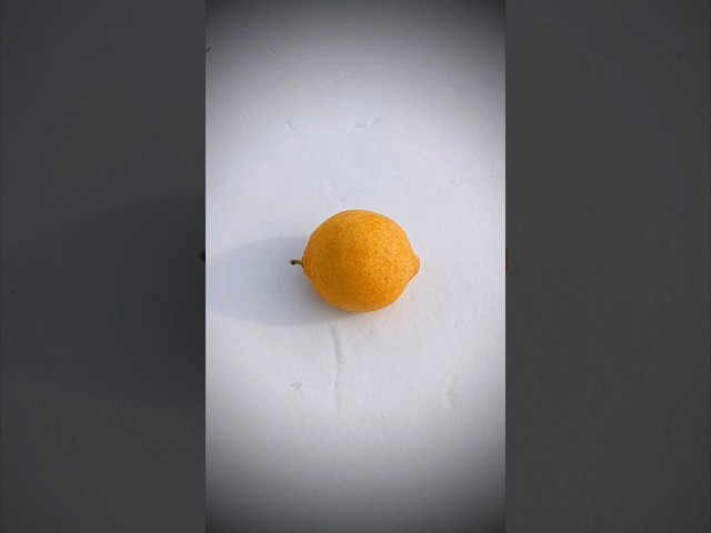 Living with Lemon #shorts