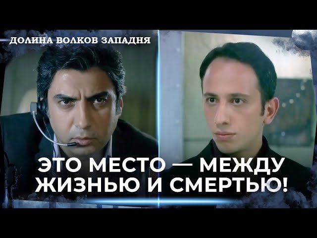 Как Появился Кгт? | Долина Волков Западня