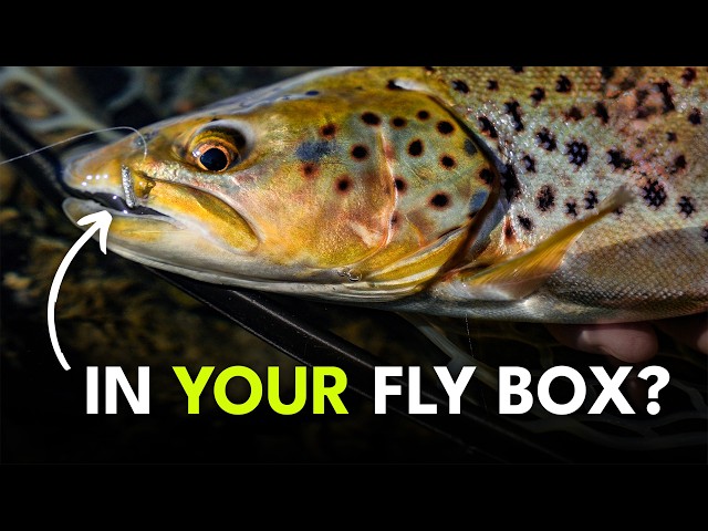 Fly Fishing’s Most Overlooked Flies | Episode 10