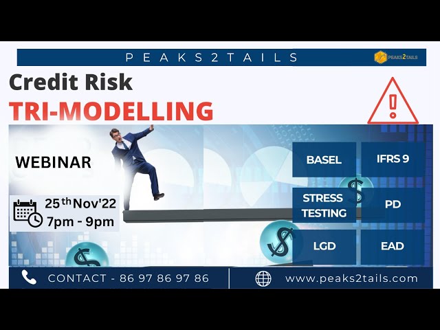 CREDIT RISK MODELLING - Scorecards | IFRS 9 | Basel | Stress Testing | Model Validation