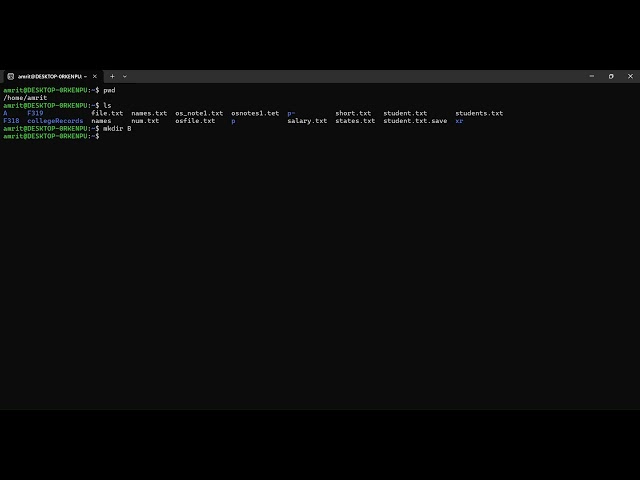 linux basic command