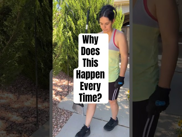Everyones yard has this problem… Here’s how to fix it | easy DIY project | Gardening hacks
