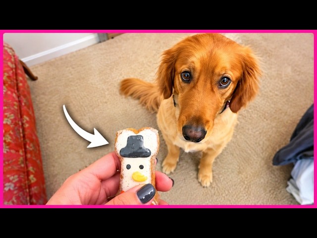 Holiday Dog Treats- what my dog thinks of these!