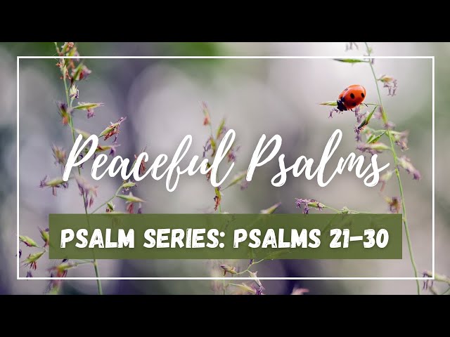 Peaceful Psalms » Scripture Reading Psalms 21-30