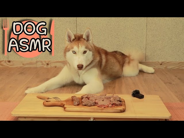 Dog ASMR MUKBANG Eating Sound🐶Steak + Raw Chicken with NAMU🎵