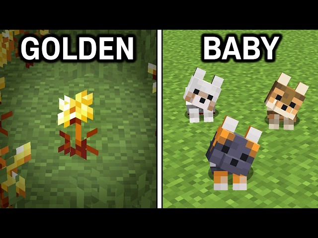 43 NEW Changes In Minecraft 26.1