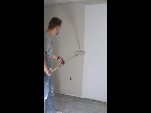 Painting Half My Basement In Under A Minute | #shorts
