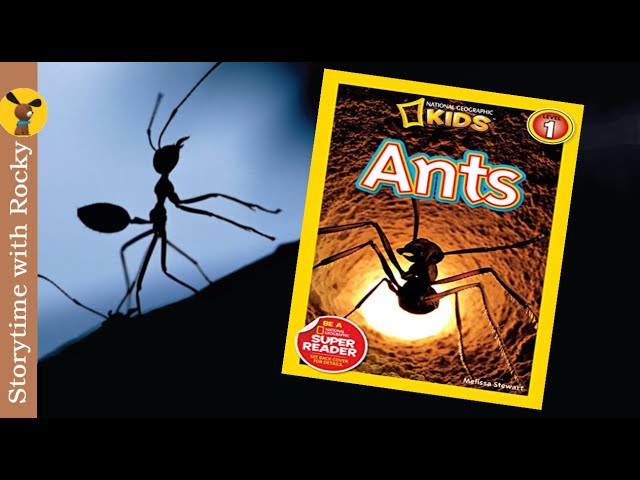 National Geographic Readers: Ants