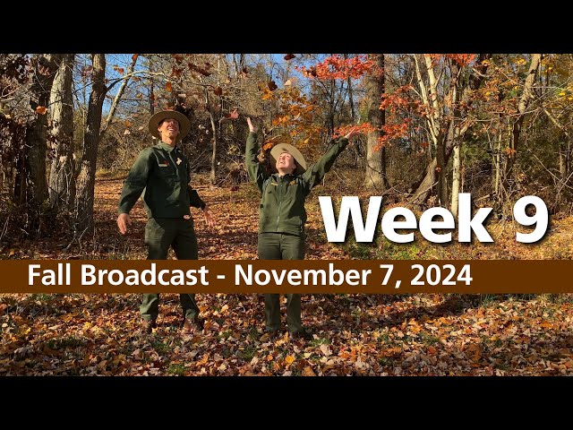 Fall Broadcast - November 7, 2024