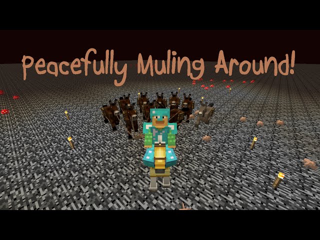 Peacefully Muling Around- ProtoTech SMP #7 | Ray's Works