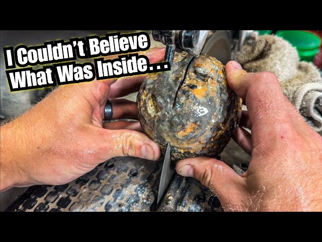 I Cut Open a MYSTERY Geode... What's Inside Shocked Me!