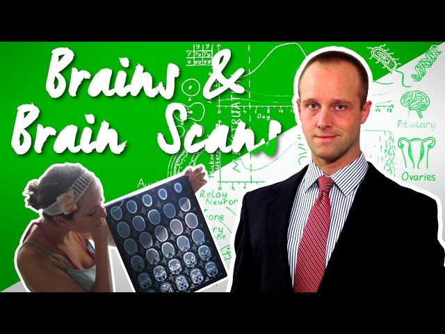 Brains/Brain Scans - GCSE IGCSE 9-1 Biology - Science - Succeed In your GCSE and IGCSE