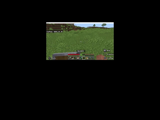 java tbgl smp