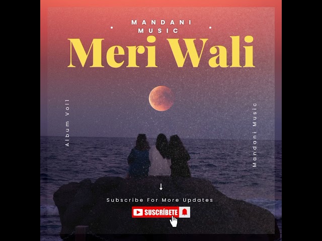 Meri Wali Out Now 😎❤️🫂 #pngmusic2025 #newmusic #mandanimusic #aimusicvideo