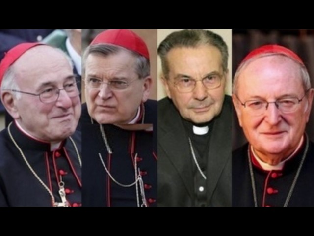 Cardinal Sins: Resisting Pope Francis (Episode 11)