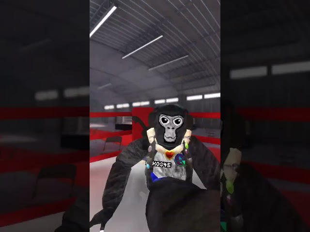 BOXING GORILLA TAG CREATORS PART @Niko345