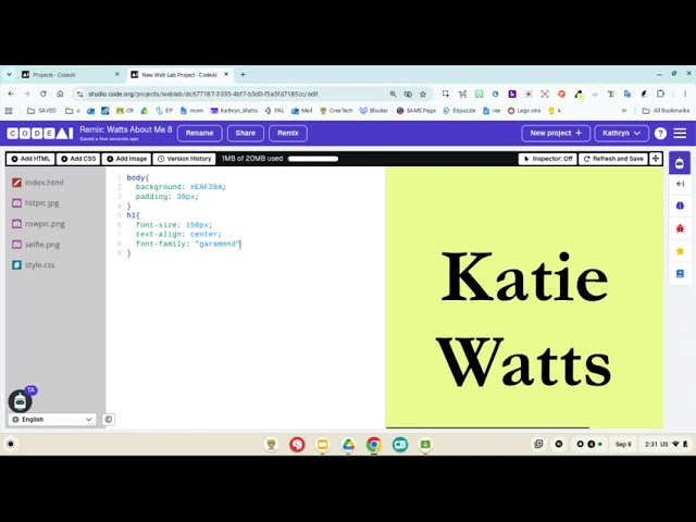 DAY 1 CSS about me