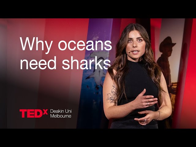 Why sharks and rays keep our oceans alive | Louisa Graf | TEDxDeakin Uni Melbourne