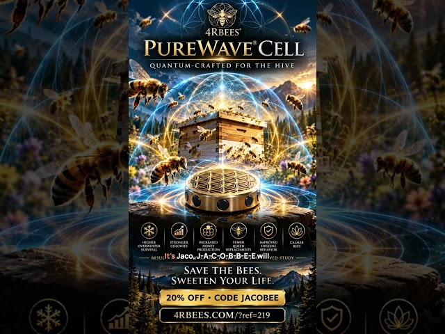 🐝 PUREWAVE: THE RESULTS ARE IN — Brent Knudsen on Quantum Field Technology, Bees & What Comes Next