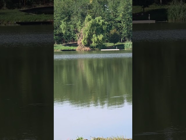 Jezero Josova kod Pisak