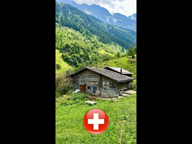 Would you like to live here? #switzerland #shorts #swissbeauty #lauterbrunnen #heaven