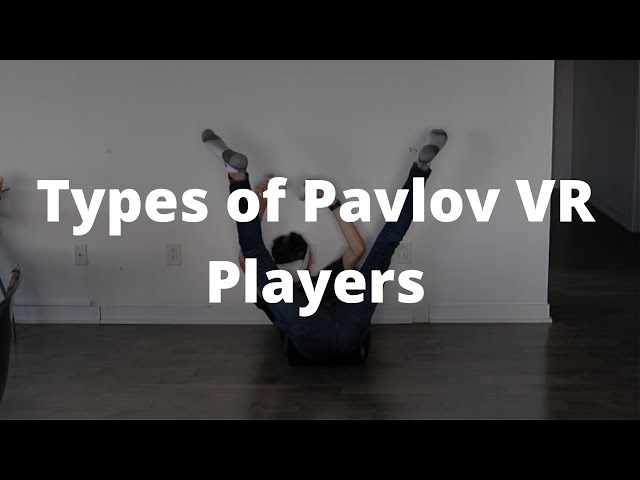 Types of Pavlov VR Players