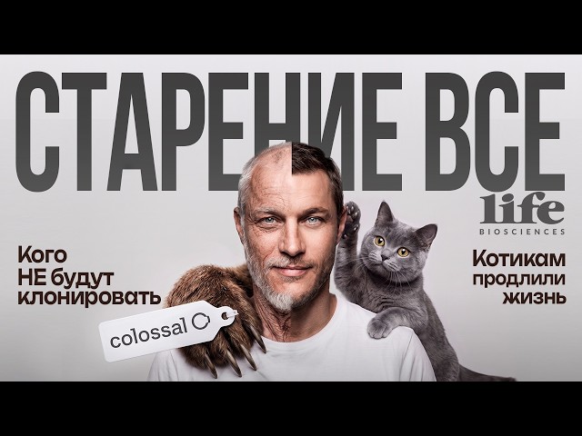 Ageing defeated. Colossal Biosciences clones. Cat lifespan extended.