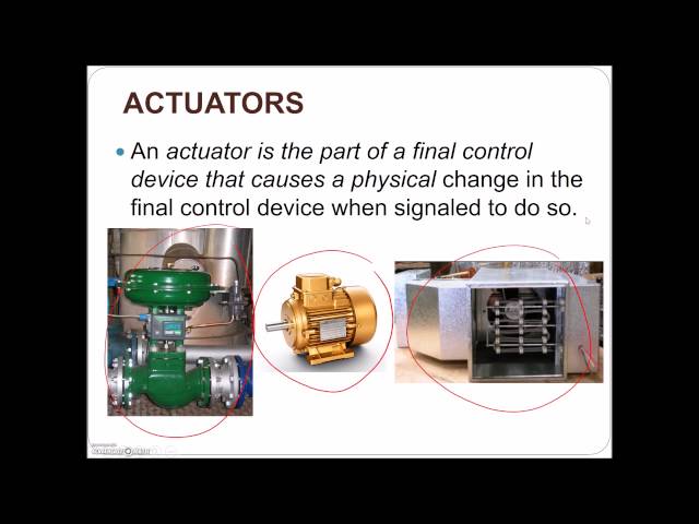 Process Control Loop Basics