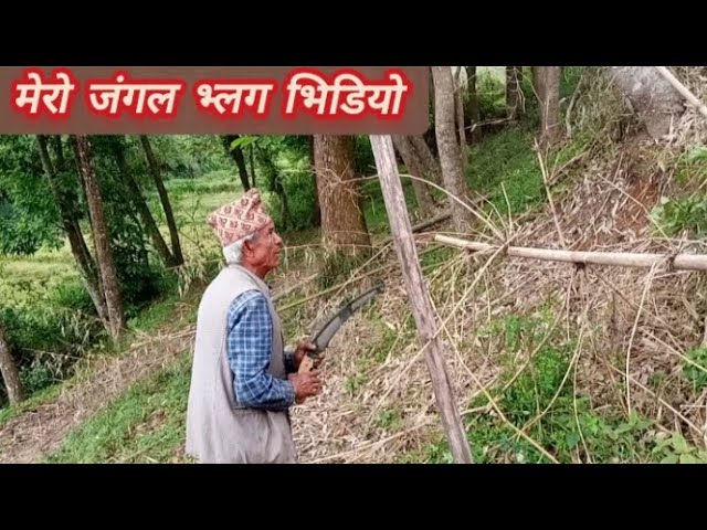 मेरो जंगल भ्लग भिडियो | My jungle vlog video