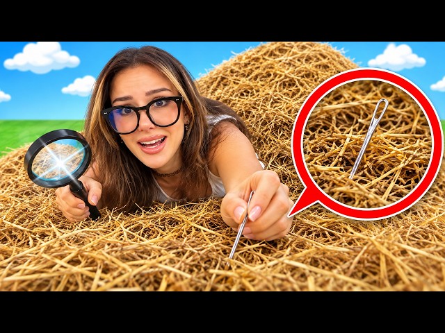 Find the NEEDLE in a HAYSTACK... (Roblox)