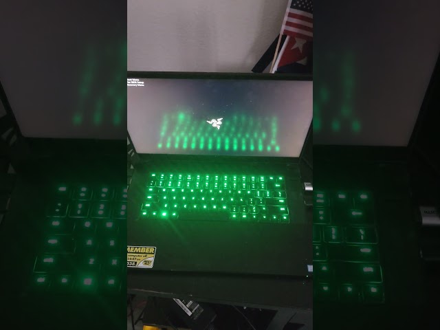 Razer Laptop weird startup