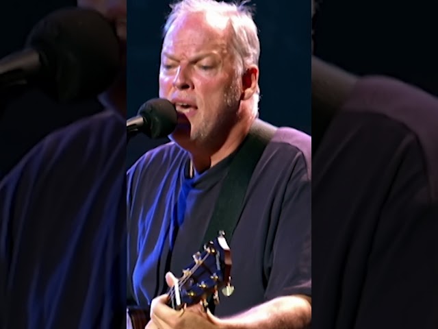 David Gilmour - Wish You Were Here (Royal Festival Hall, 2001)