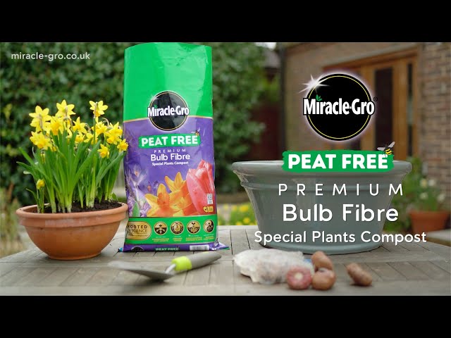Miracle-Gro® Peat Free Premium Bulb Fibre Compost | For Tulips, Daffodils & Spring Bulbs