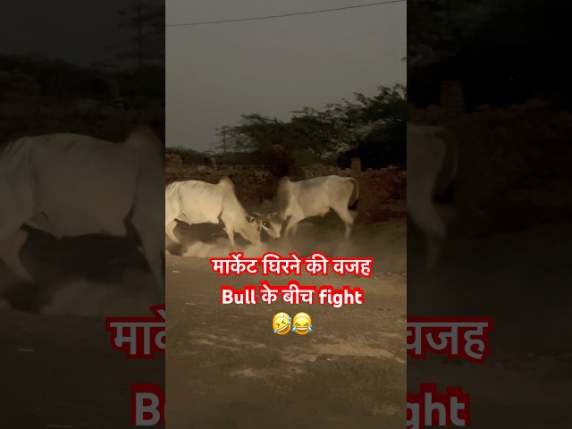 मार्केट घिरने की वजह सामने आ गई 😂🤣 #trading #stockmarkets #bulls