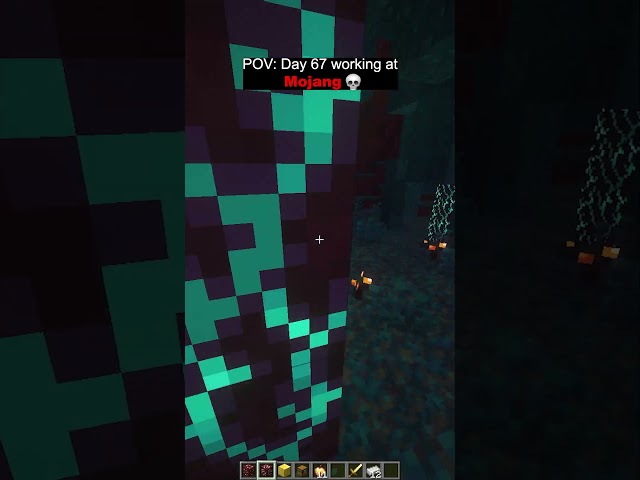 Day 67 #shorts  #minecraft
