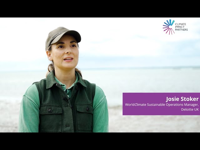 Accelerate Seagrass: Why Deloitte & Climate Impact Partners volunteered to collect seagrass seeds